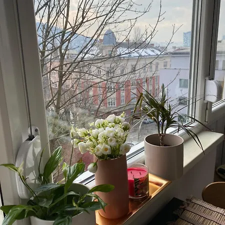 Studio Central Apartment * Sarajevo