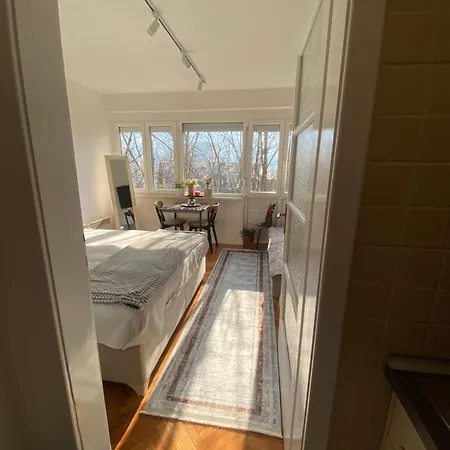 Studio Central Apartment *