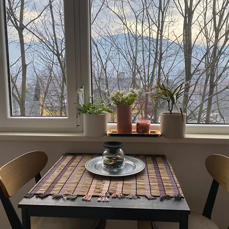 Studio Central Apartment Daire Saraybosna